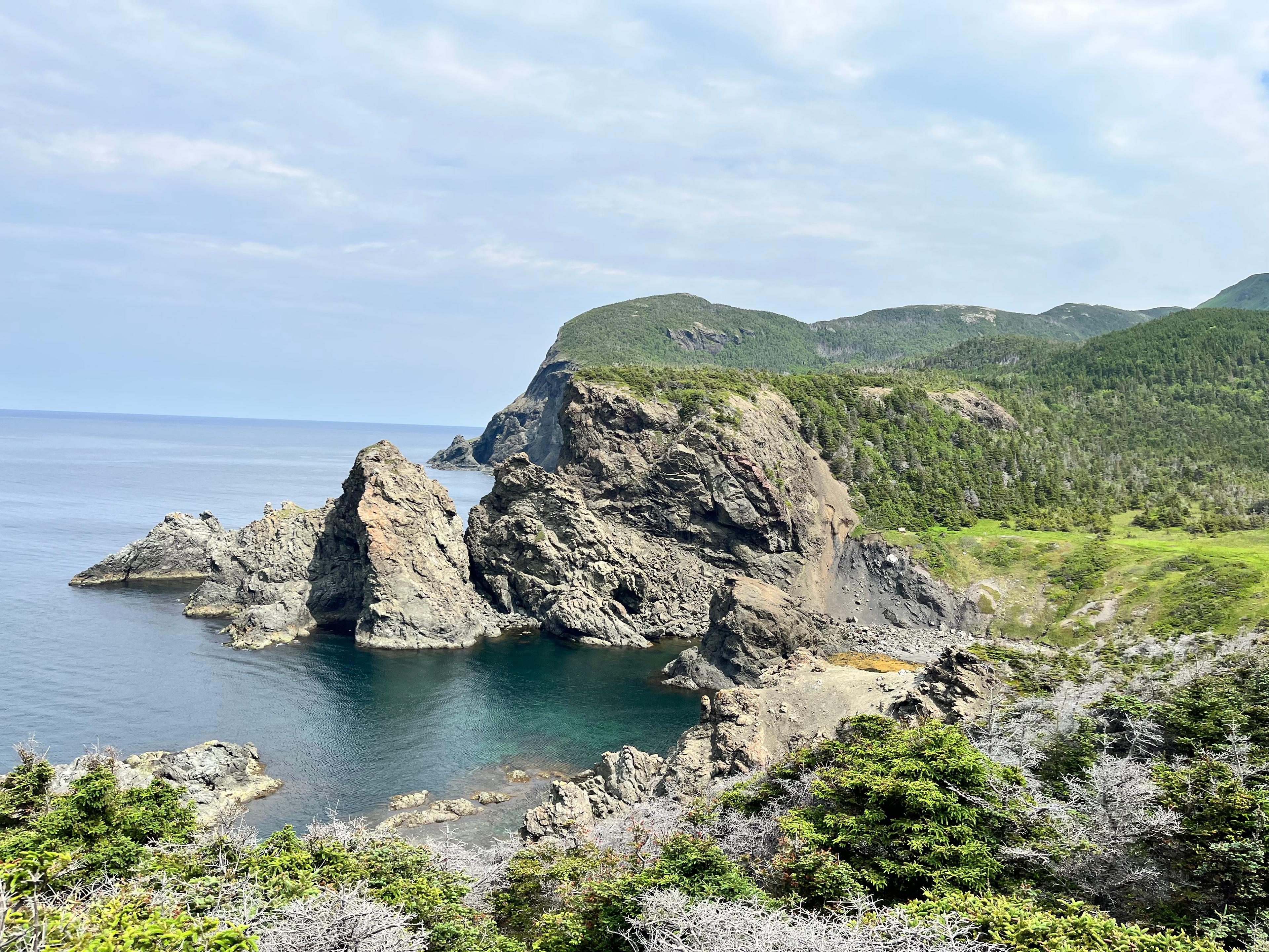 Run Wild in Newfoundland and Labrador